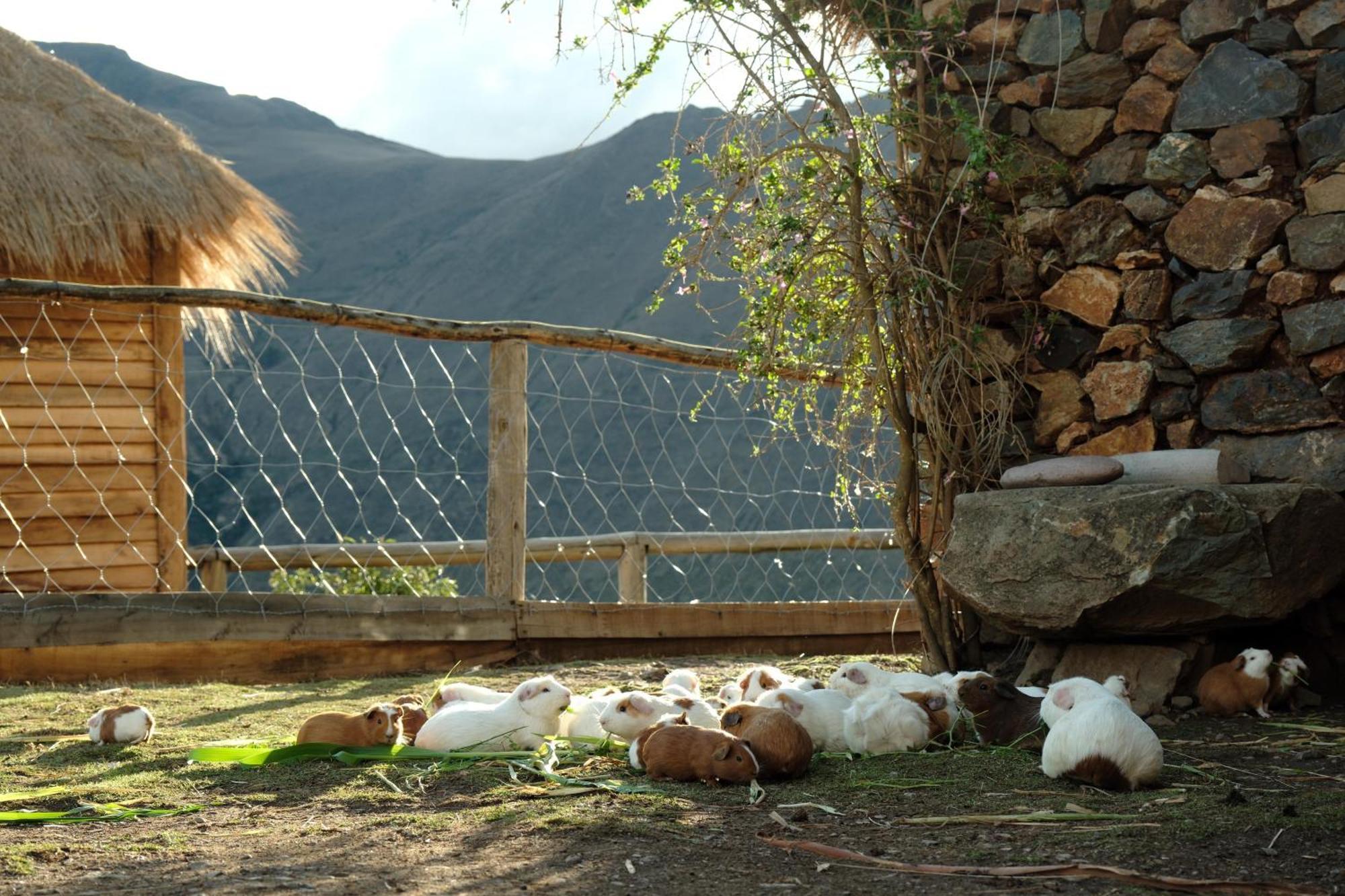 Hotel Stardome Spiritual Experience Ollantaytambo Esterno foto